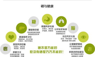 富硒健康新動力，產(chǎn)業(yè)盛會譜新章——聚焦2017第十四屆上海富硒食品產(chǎn)業(yè)博覽會及其酒店管理服務